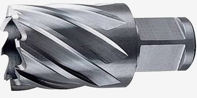 Broca anular, encaixe Weldon, 20 mm x 30 mm, DT8403-XJ