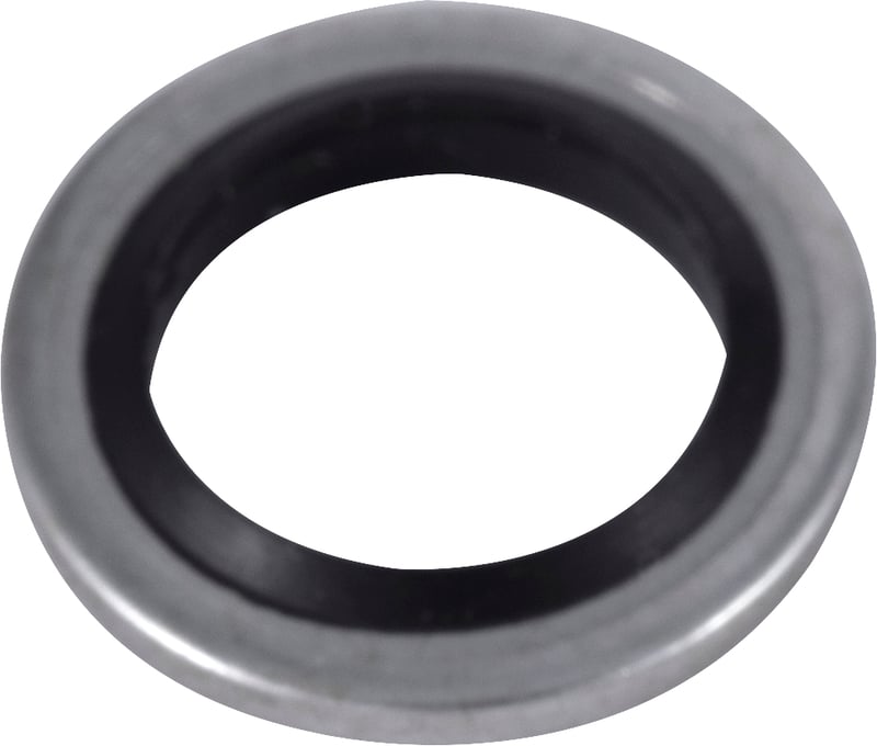 Anel de vedação, 6,7 mm x 10 mm x 1 mm, 008125, RÖHM
